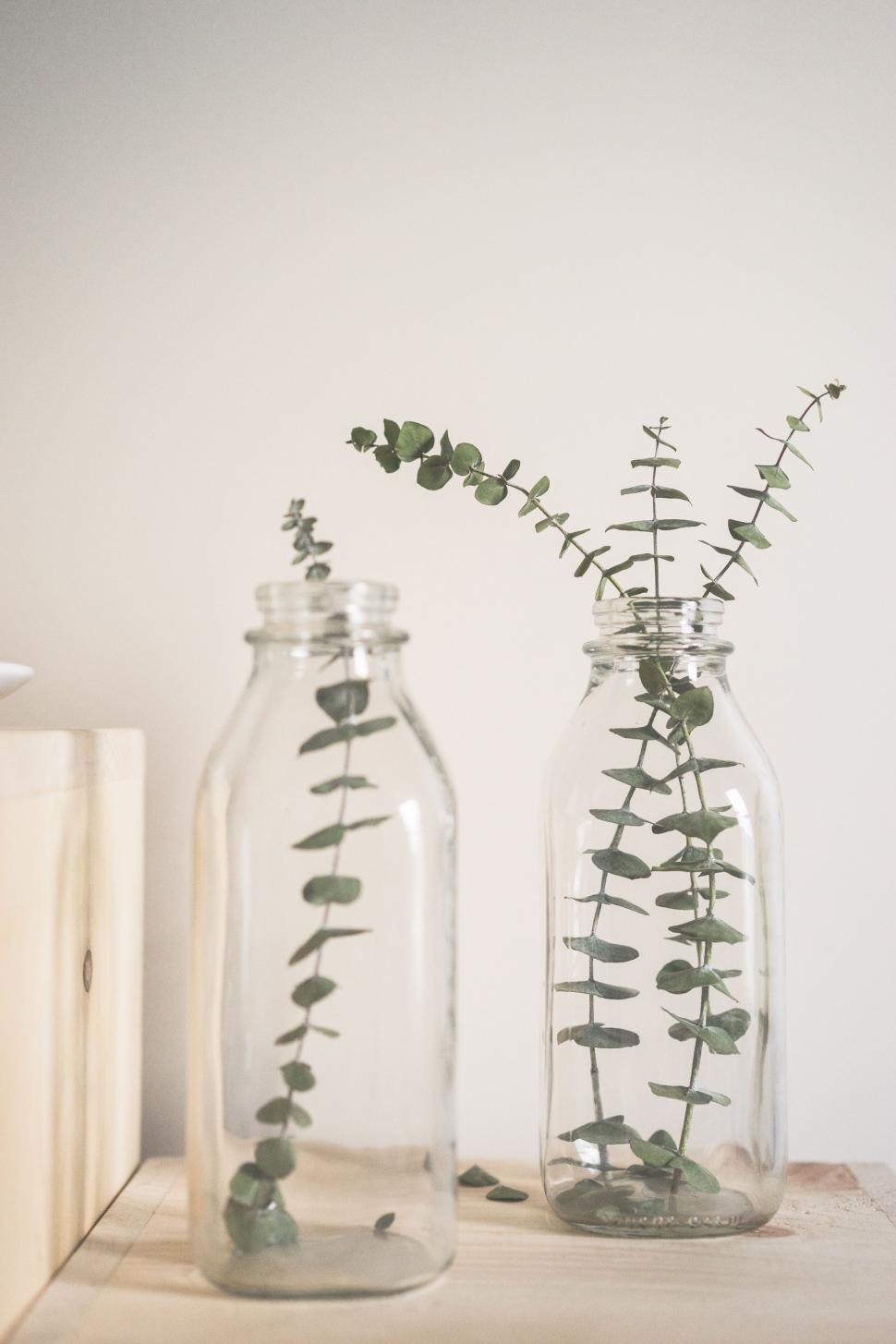 Free Image of Two Glass Vases on Table 