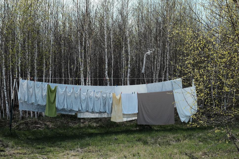 Free Image of Clothes Hanging Out to Dry in a Forest 