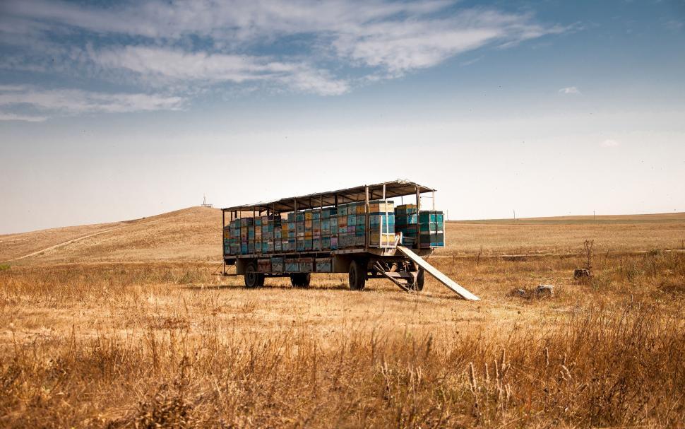 Free Image of Truck Parked in Dry Grass Field 