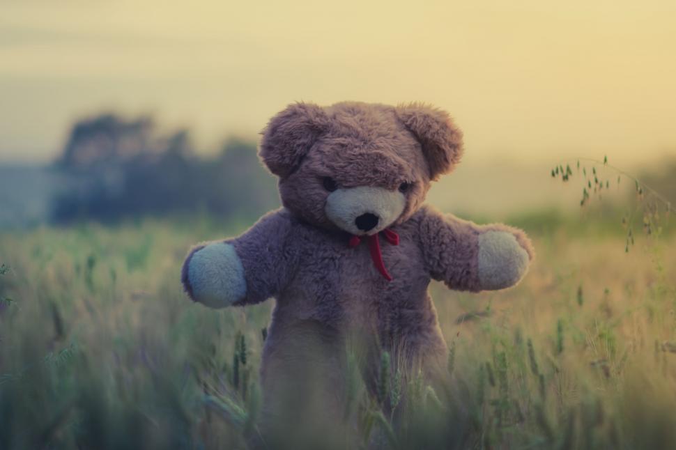Free Image of Teddy Bear Standing in Field of Tall Grass 