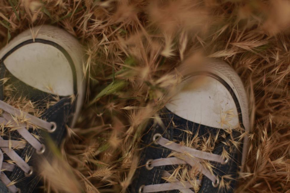 Free Image of Pair of Shoes Resting on Grass 