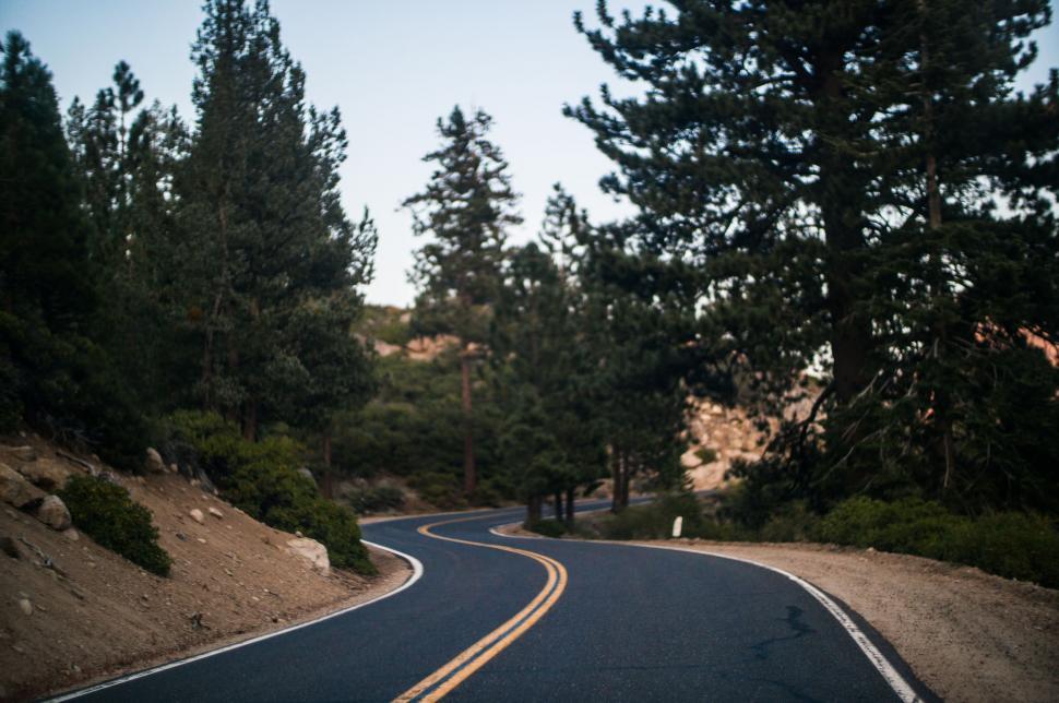Free Image of Curved Road Cutting Through Forest 
