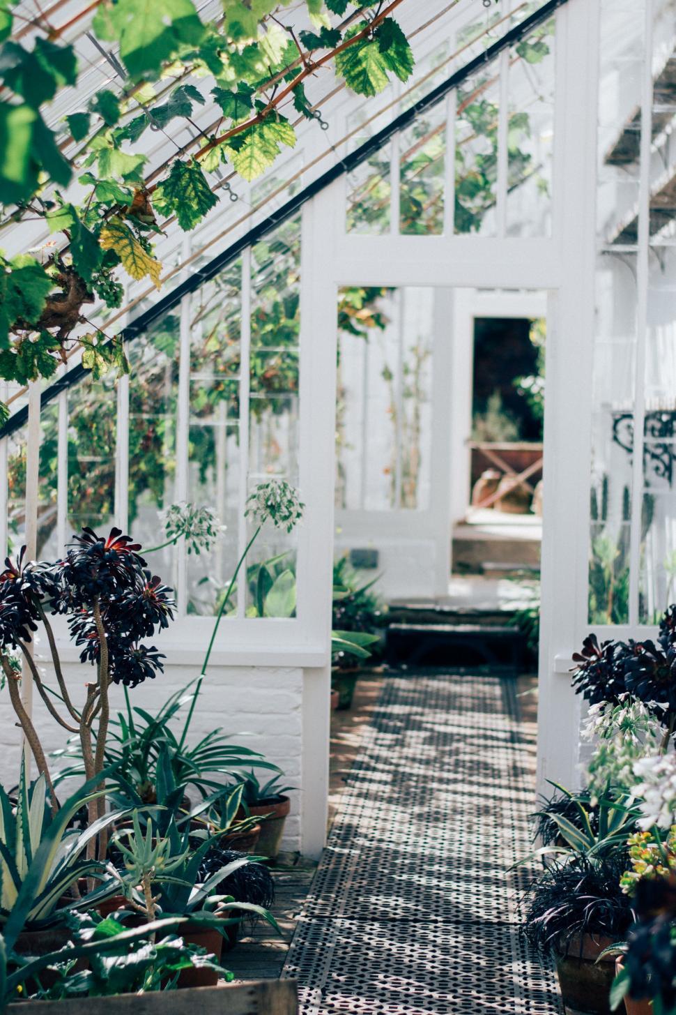 Free Image of White Greenhouse Filled With Plants 