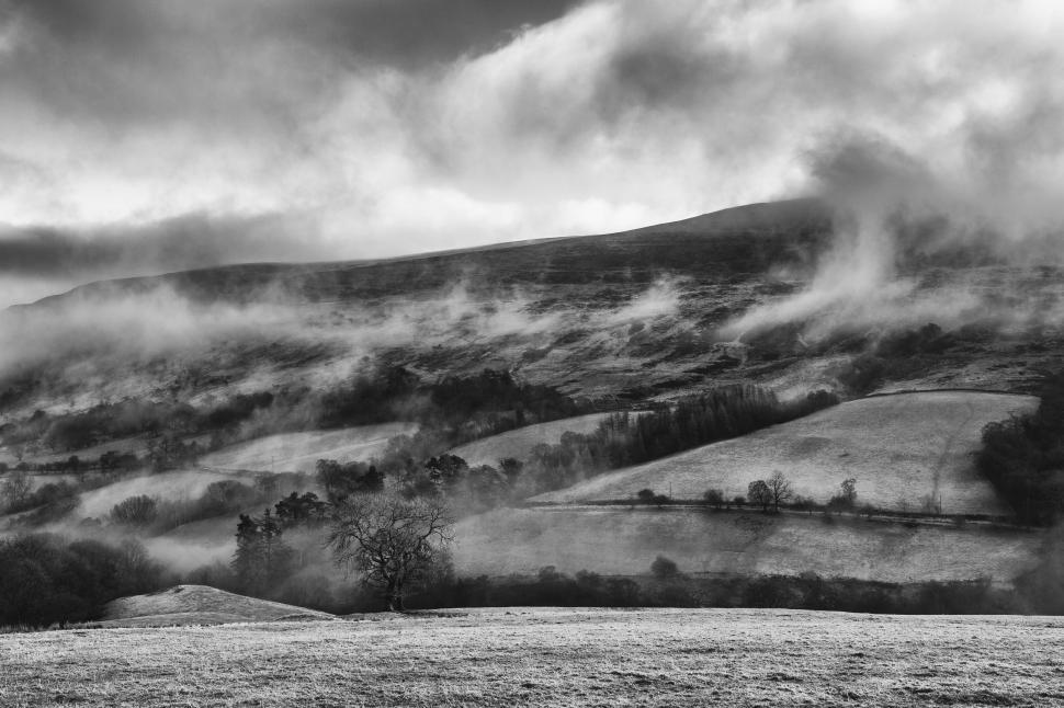 Free Image of Foggy Landscape With Black and White Tones 