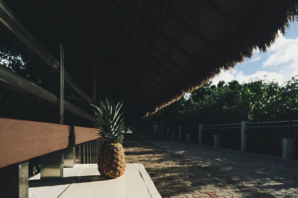 Free Image of Pineapple Resting on Bench in Shade 