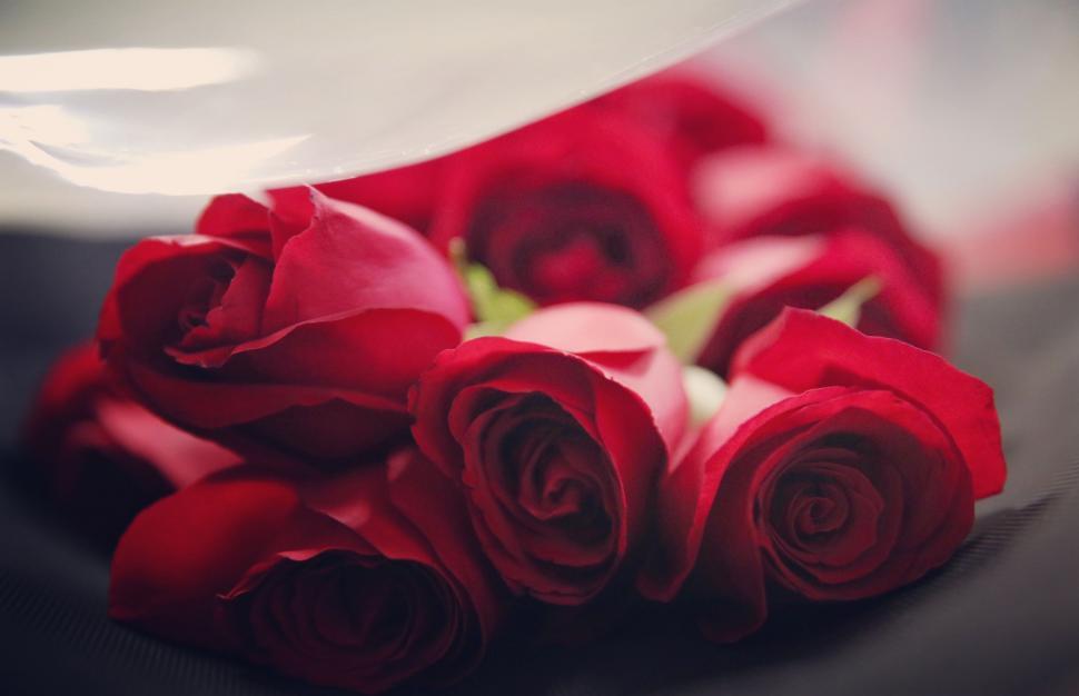 Free Image of A Bouquet of Red Roses on a Table 