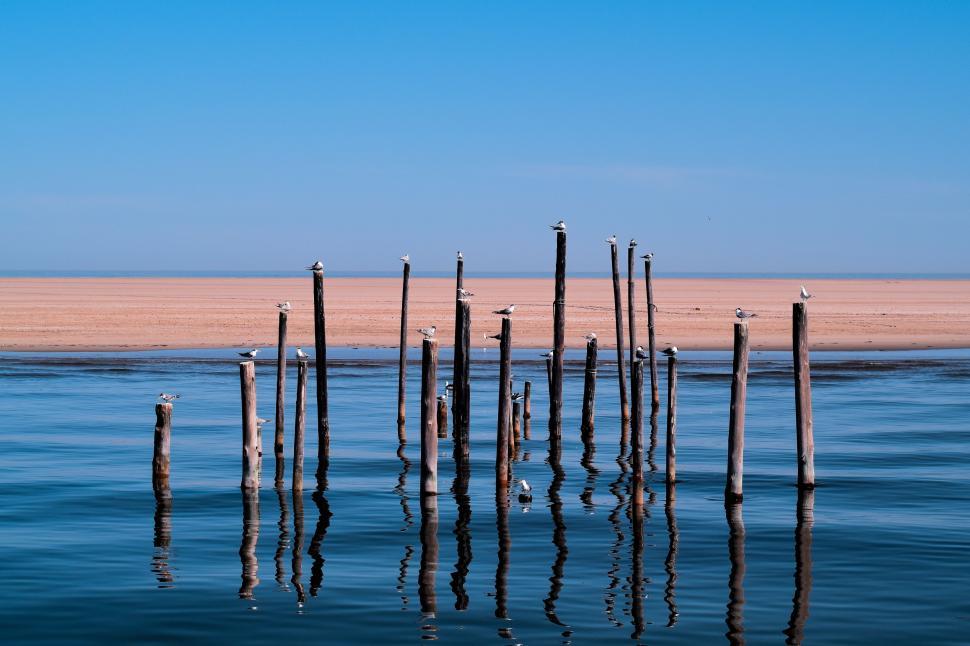 Free Image of Poles Sticking Out of Water 
