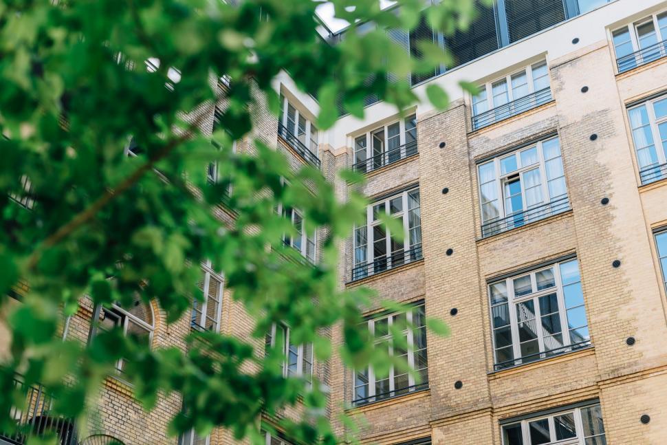 Free Image of Tall Building With Lots of Windows Next to a Tree 