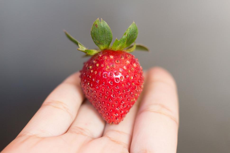 Free Image of Hand Holding Small Red Strawberry With Green Stem 