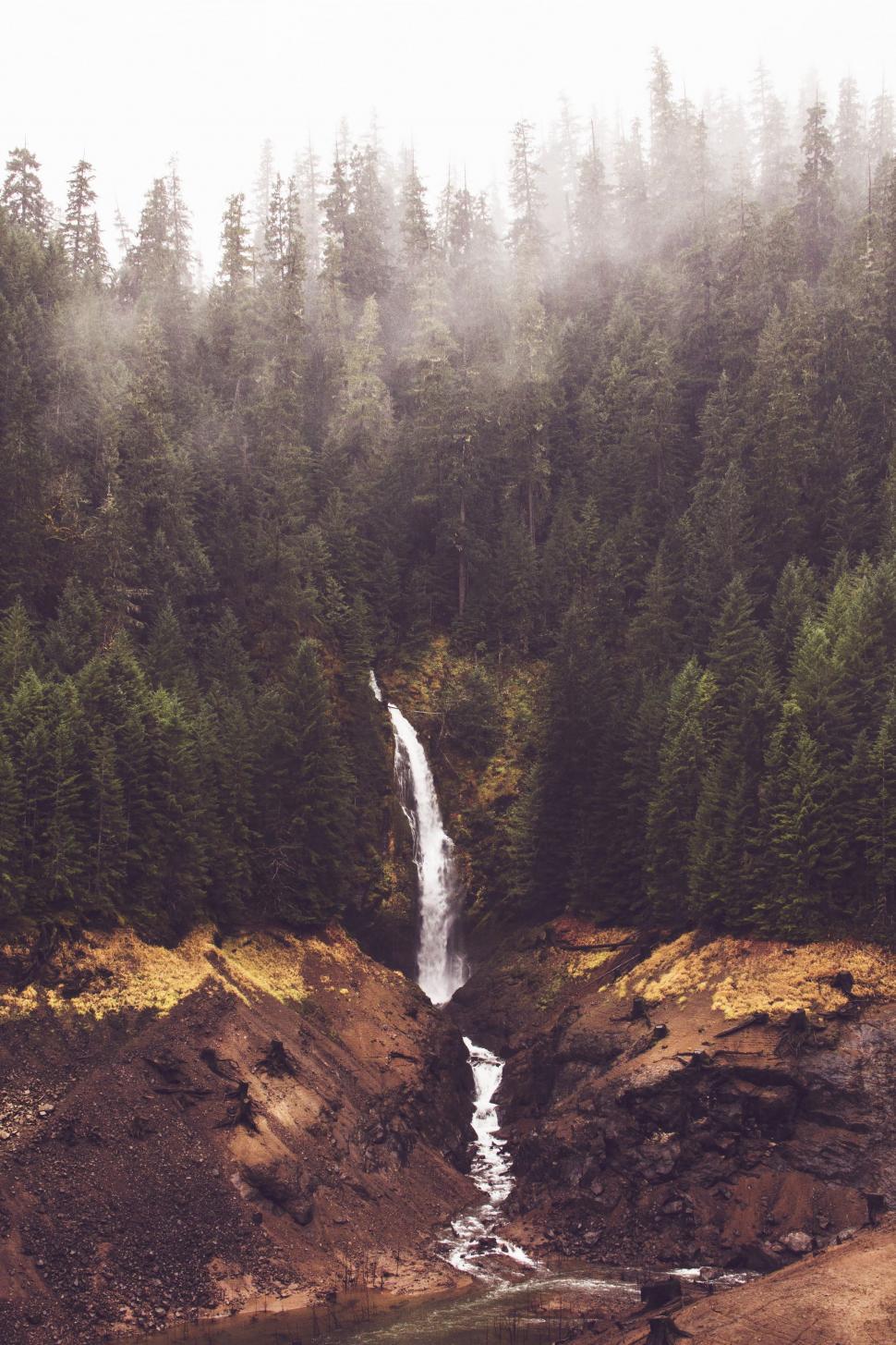 Free Image of Waterfall in the Heart of a Forest 