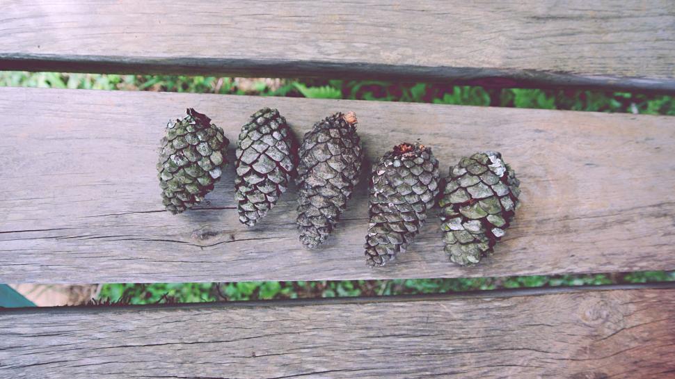 Free Image of Group of Pine Cones on Wooden Bench 