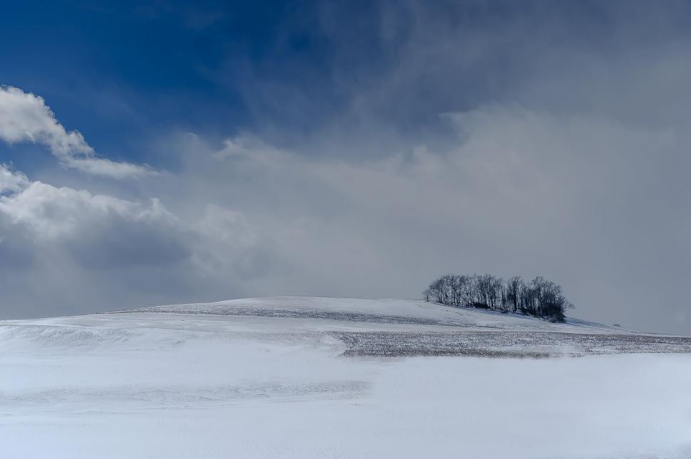 Free Image of Lone Tree on Snowy Hill Under Cloudy Sky 