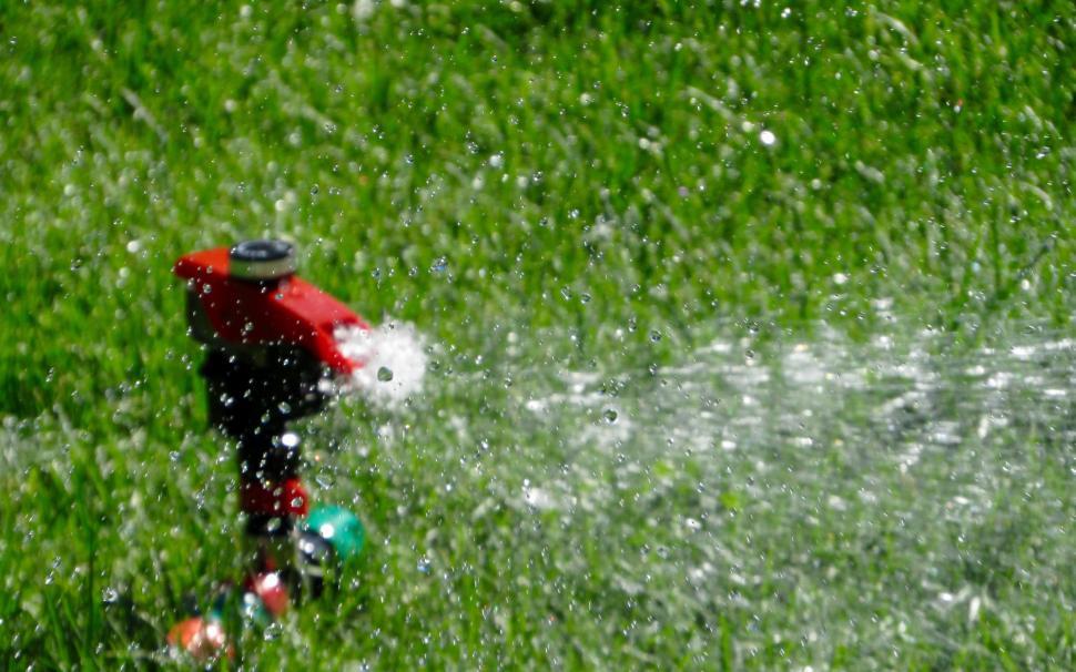 Free Image of Fire Hydrant Spewing Water on Green Lawn 