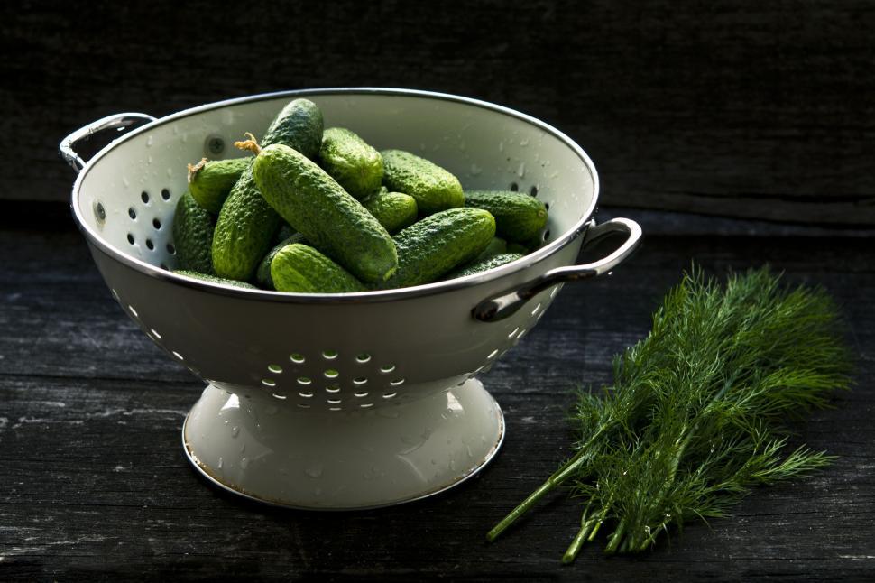 Free Image of Colander Filled With Cucumbers and a Sprig of Parsley 