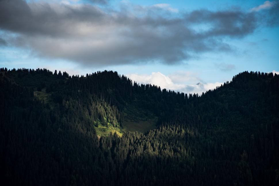 Free Image of Majestic Mountain Range With Foreground Trees 