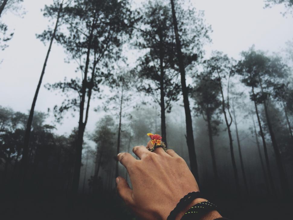 Free Image of Person Holding Cigarette in Front of Forest 