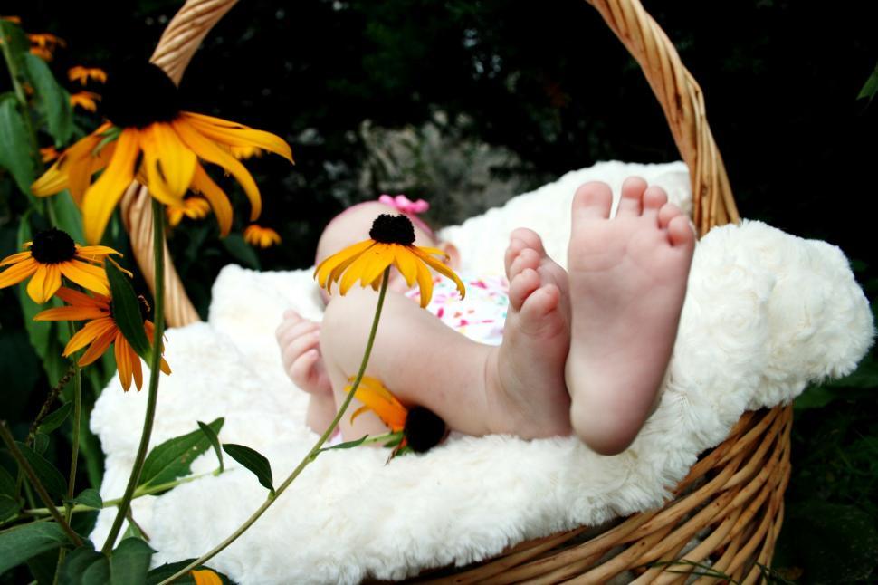 Free Image of Baby Laying in Basket Next to Flowers 