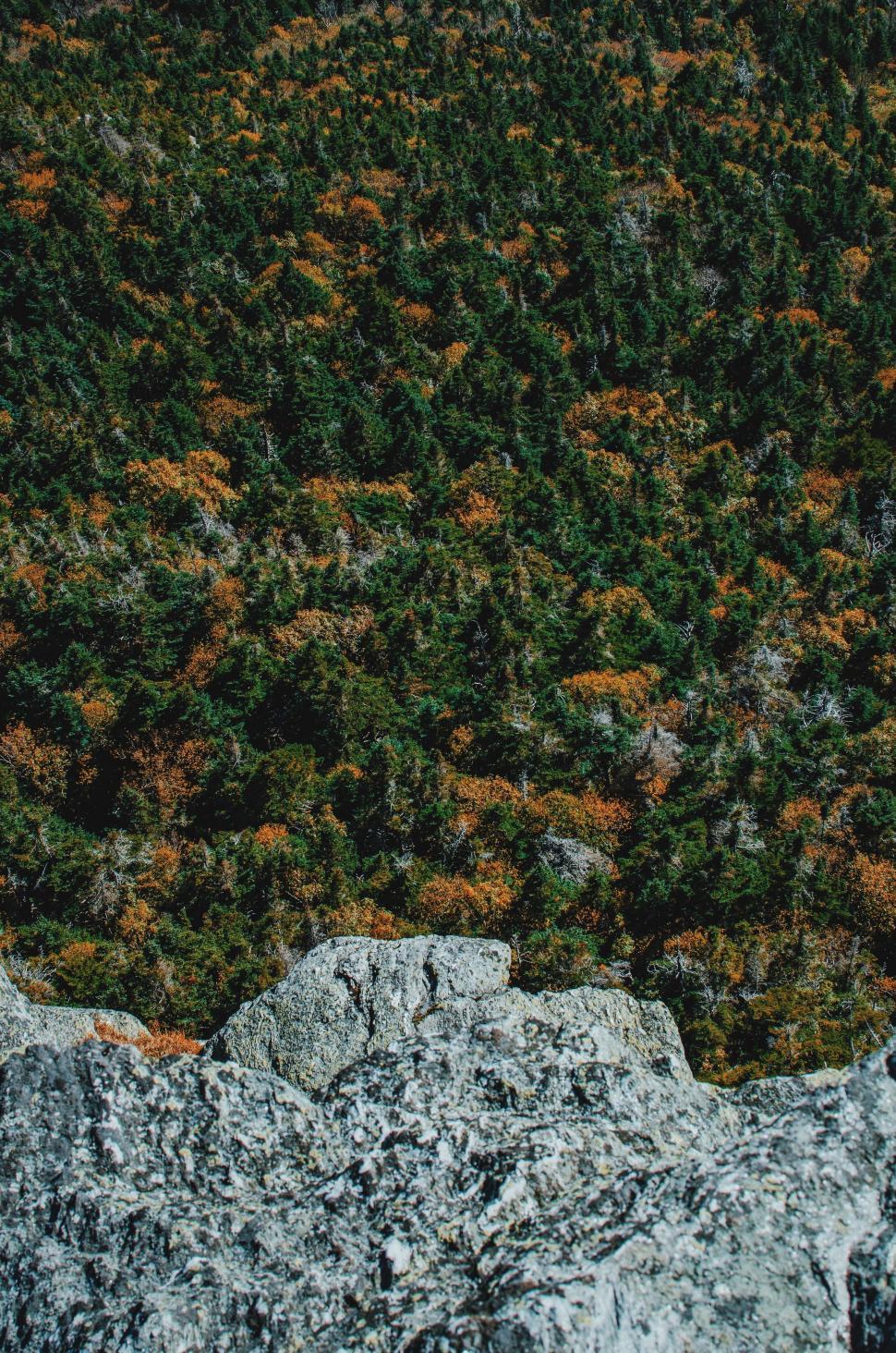 Free Image of Man Standing on Top of Large Rock Next to Forest 