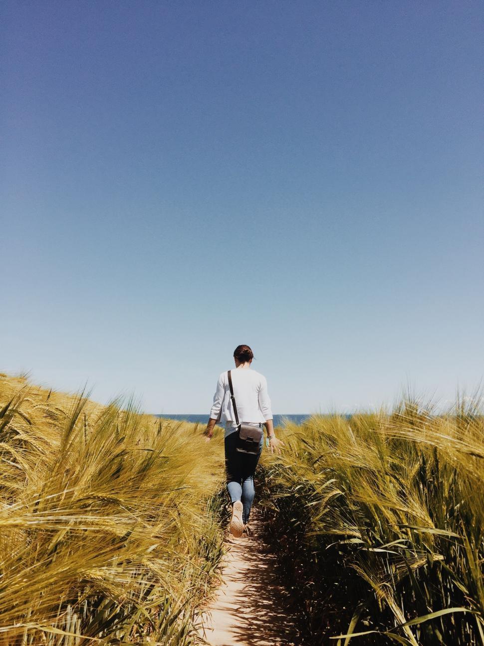 Free Image of Man Walking Through a Field of Tall Grass 
