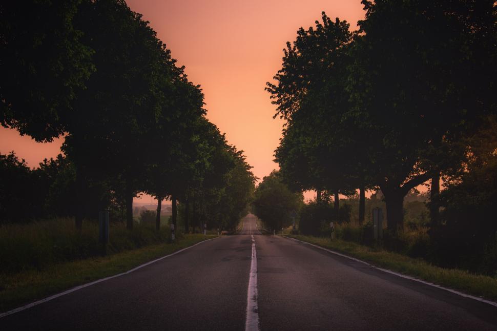 Free Image of Empty Road With Trees on Both Sides 