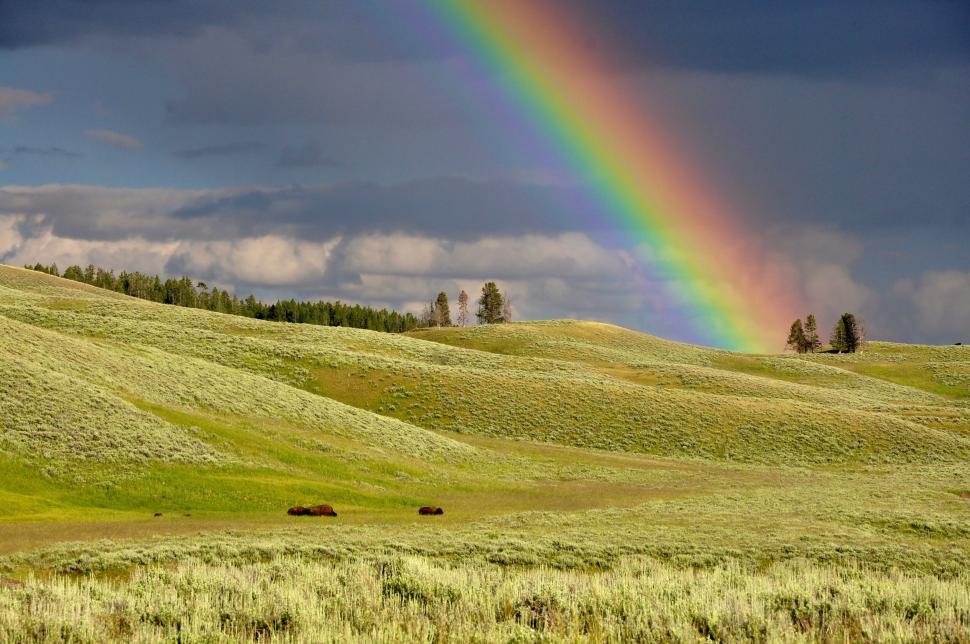 Free Image of Rainbow in the Sky Over a Grassy Field 