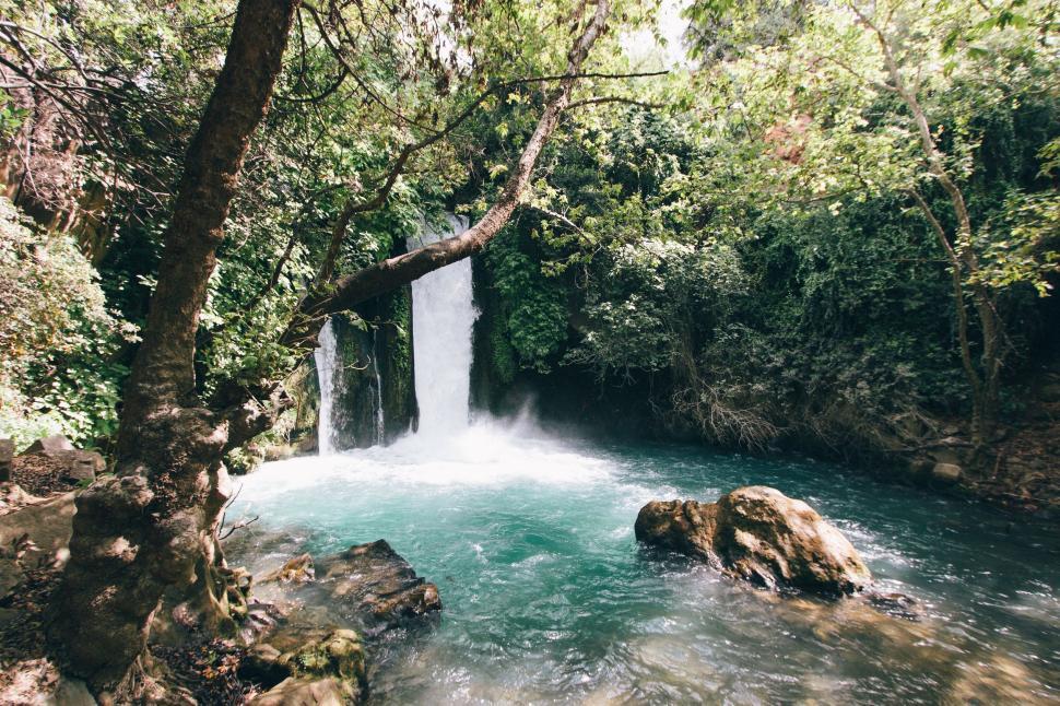 Free Image of Small Waterfall Flowing in Forest 
