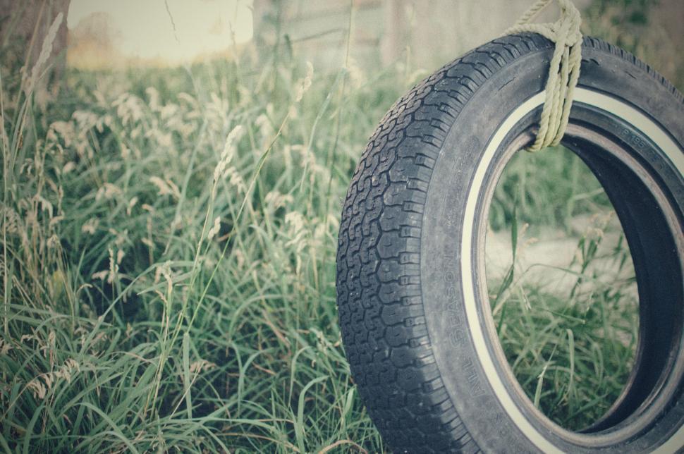 Free Image of Abandoned Tire in Grass 