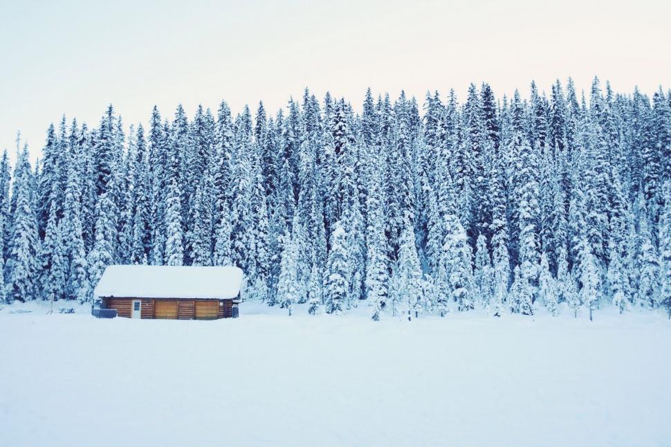 Free Image of Snowy Forest Cabin 
