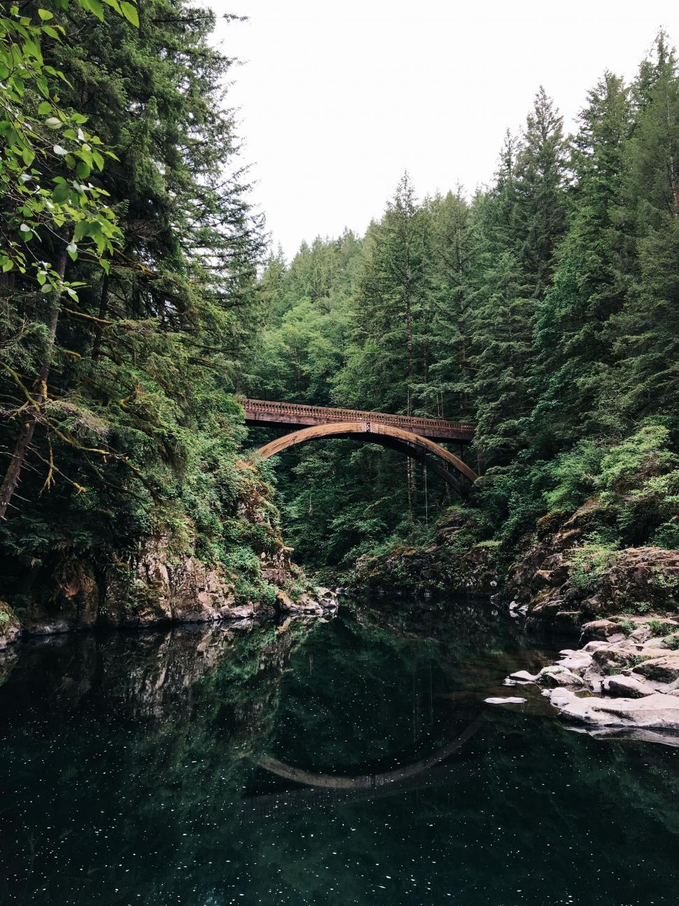Free Image of Bridge Over a River Surrounded by Trees 