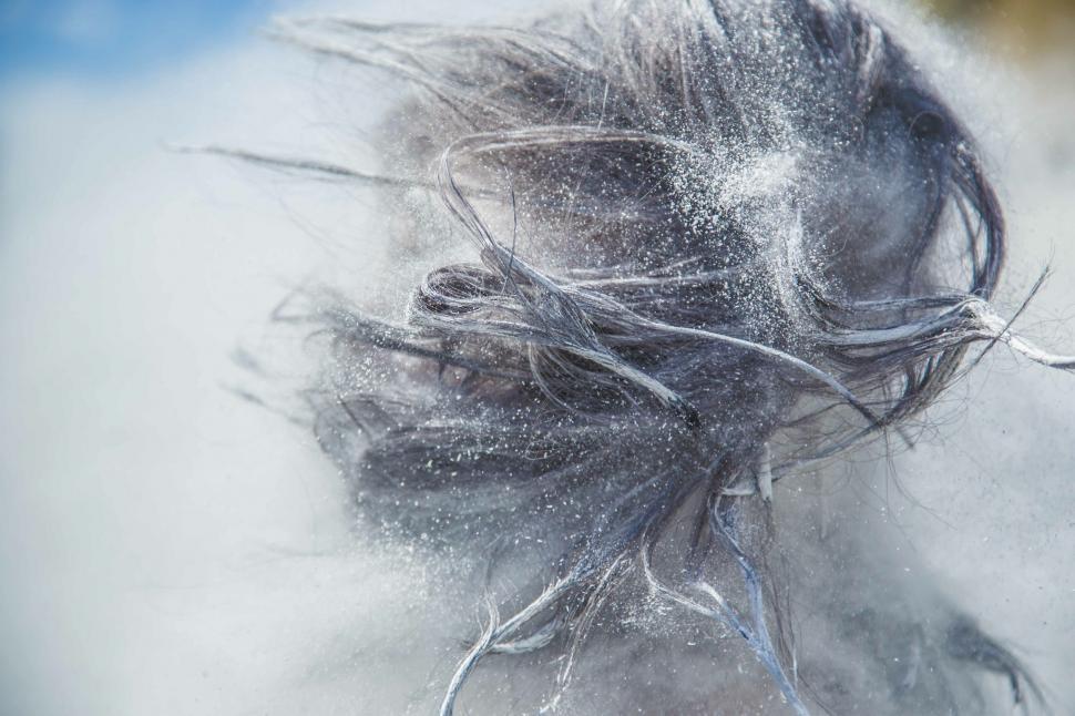 Free Image of Person With Hair Blowing in Wind Close Up 