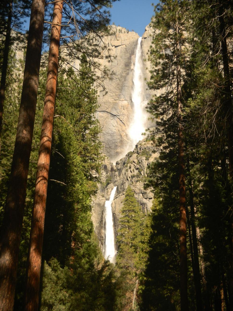 Free Image of Majestic Waterfall Towering Over Dense Forest 
