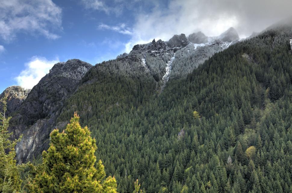 Free Image of Majestic Mountain Range With Foreground Trees 