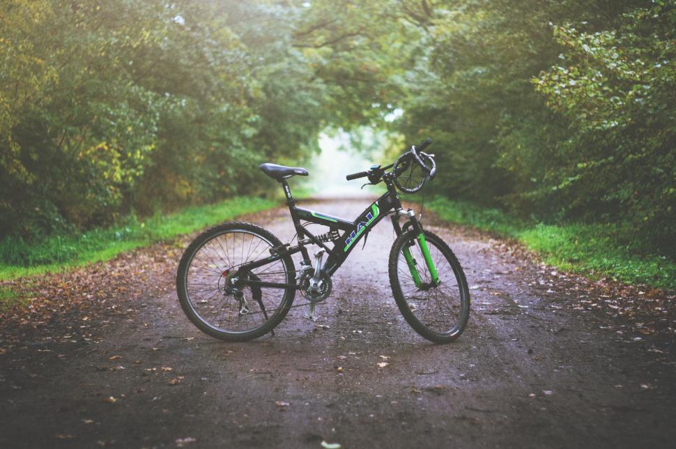 Free Image of Bike Parked on Dirt Road in Forest 