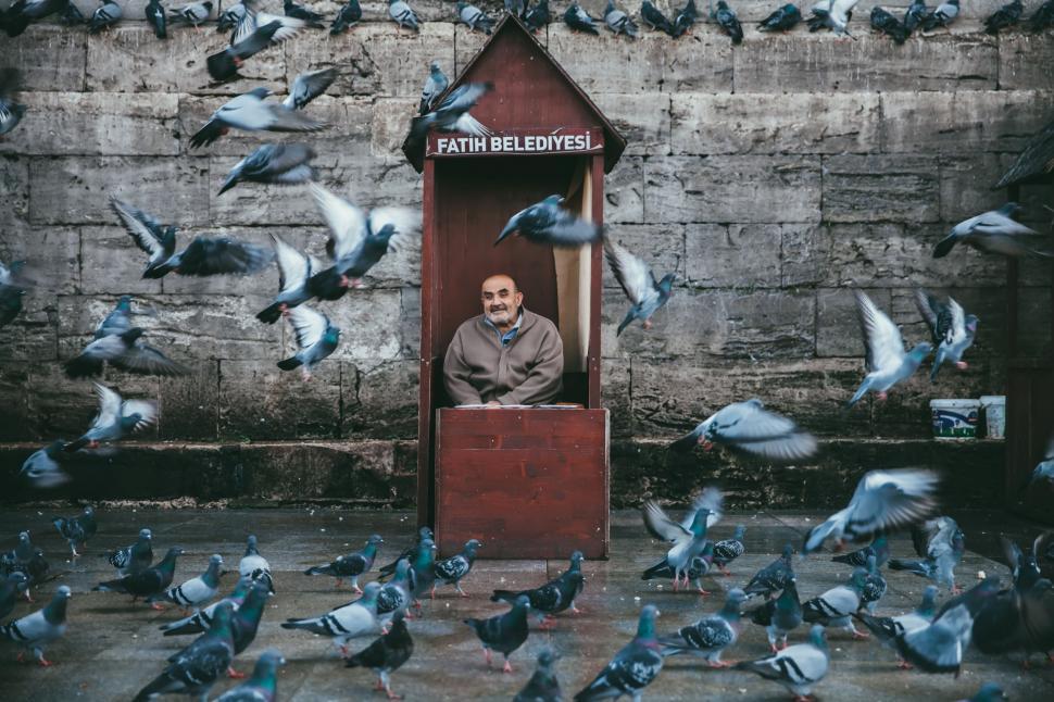Free Image of Man Sitting in a Doorway Surrounded by Pigeons 