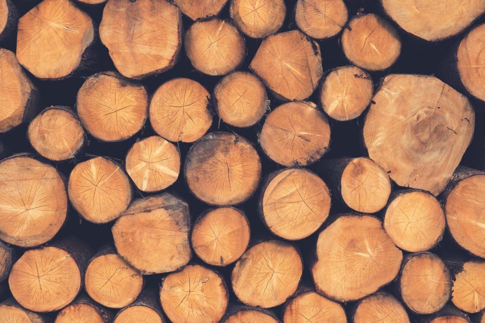 Free Image of Close Up of a Pile of Logs 