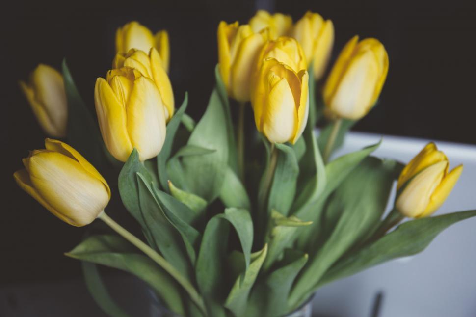 Free Image of Vase Filled With Yellow Tulips on Top of a Table 
