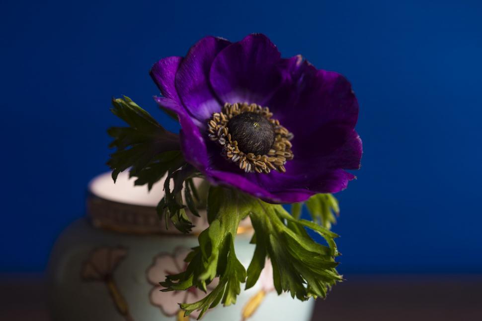 Free Image of Purple Flower in White Vase on Table 