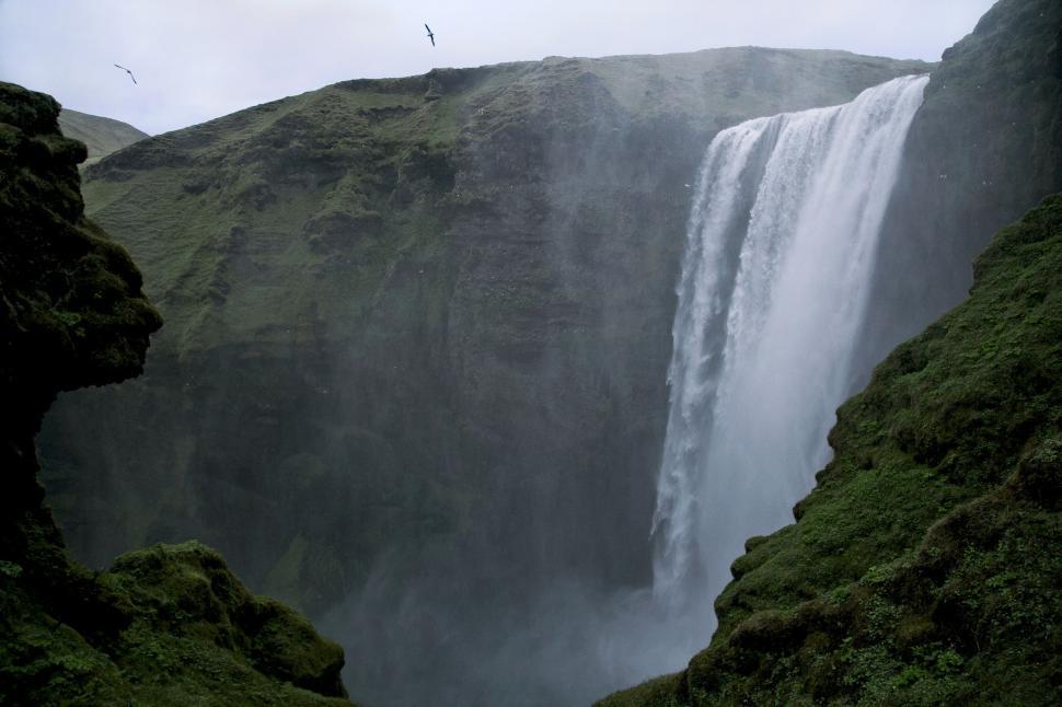 Free Image of Majestic Waterfall With Bird Flying 