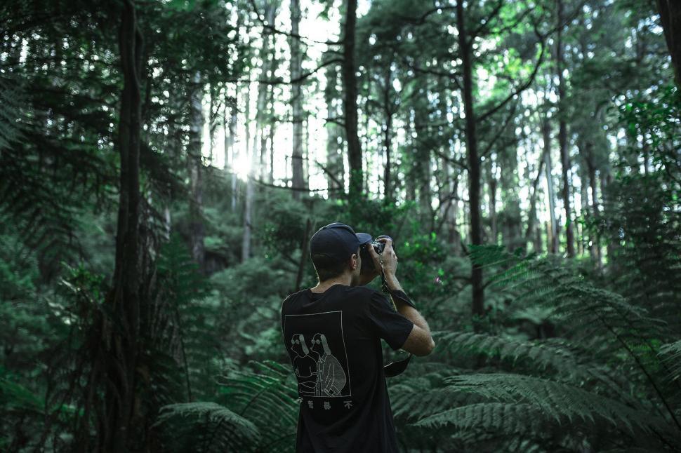 Free Image of Man Taking Picture of Forest 