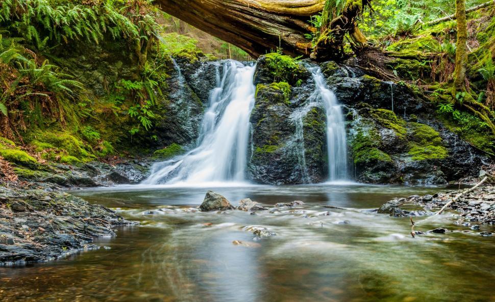 Free Image of Small Waterfall in Forest 