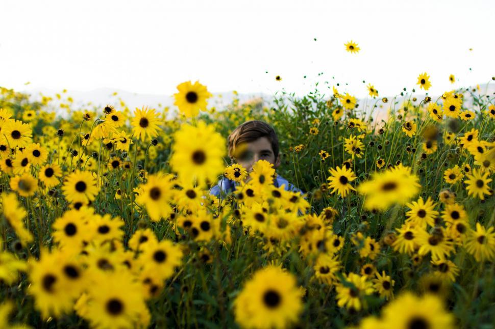 Free Image of Person Standing in Field of Yellow Flowers 