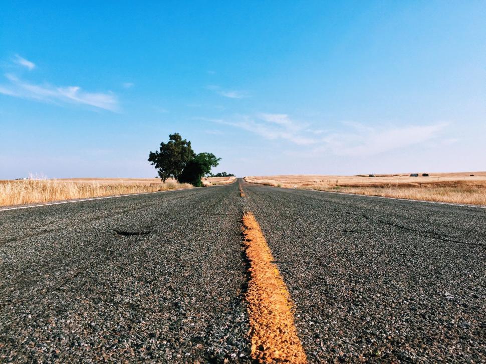 Free Image of Lone Tree Standing in the Middle of an Empty Road 
