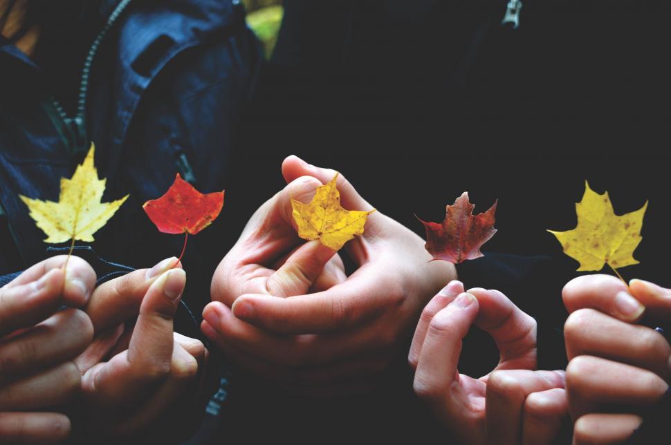 Free Image of Group of People Holding Autumn Leaves 