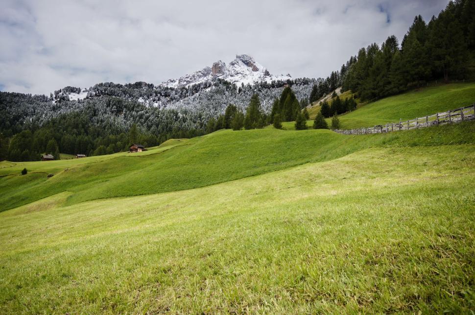 Free Image of Grassy Field With Mountain in Background 