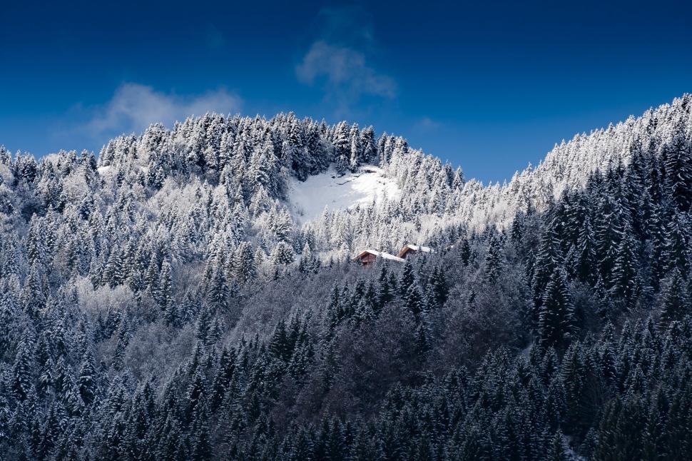 Free Image of Snow-Covered Mountain With Trees in Foreground 
