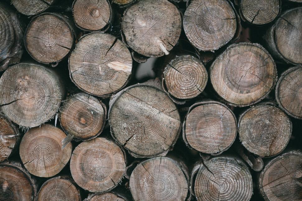 Free Image of Stack of Cut Logs in a Pile 