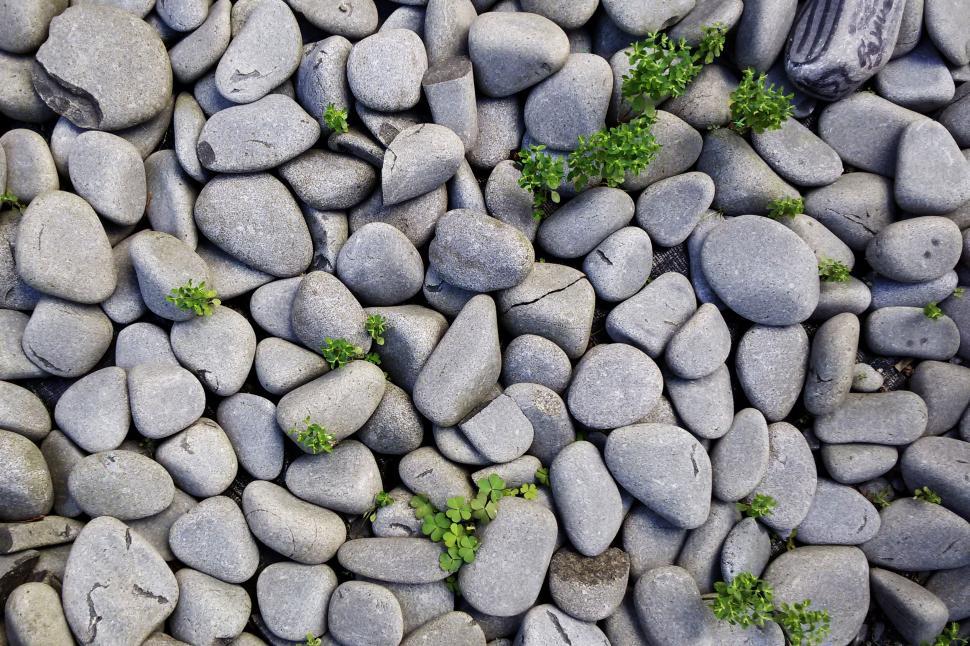 Free Image of Rocky Terrain With Lush Plant Life 