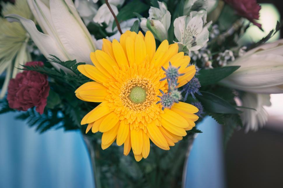Free Image of A Bouquet of Flowers in a Vase on a Table 