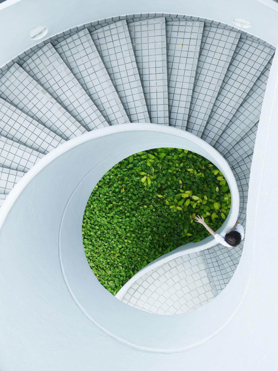 Free Image of Spiral Staircase Overgrown With Grass 