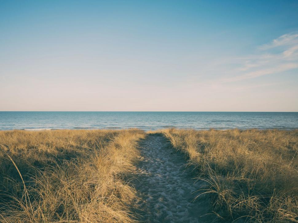 Free Image of A Path Leading to the Ocean on a Sunny Day 